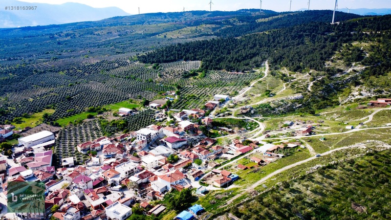 Manisa Akhisar Tütenli Satılık İmarlı Arsa — fotoğraf 18