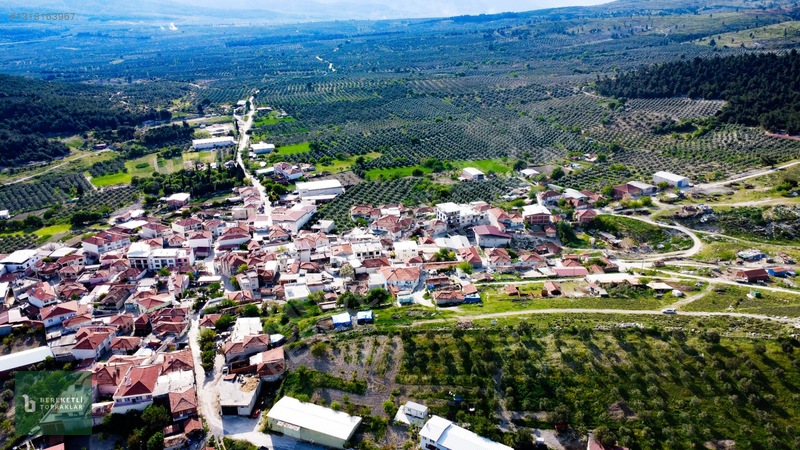 Manisa Akhisar Tütenli Satılık İmarlı Arsa — fotoğraf 60