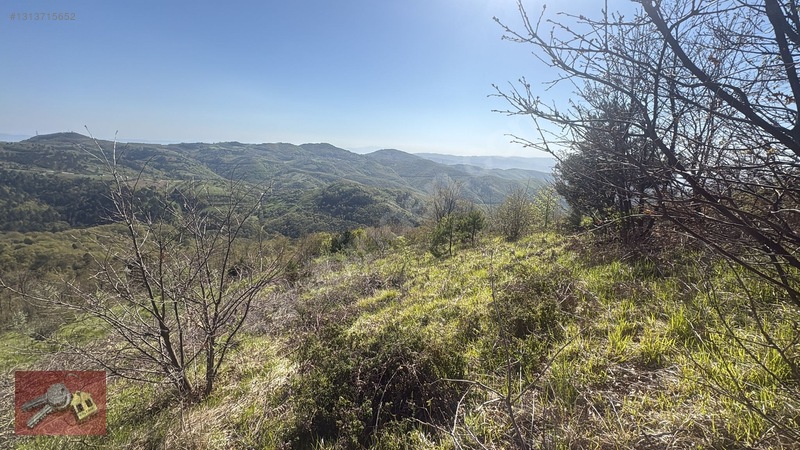 Karamürsel Kadriye'de Satılık %5 İmarlı Tarla - 14.050m² — fotoğraf 2