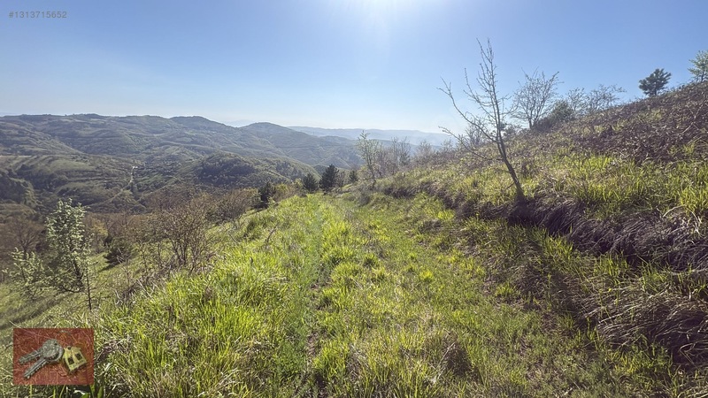 Karamürsel Kadriye'de Satılık %5 İmarlı Tarla - 14.050m² — fotoğraf 3