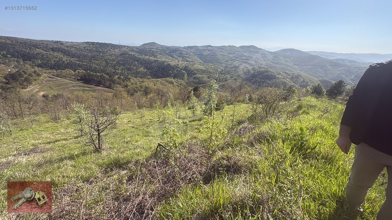 Karamürsel Kadriye'de Satılık %5 İmarlı Tarla - 14.050m² — fotoğraf 4
