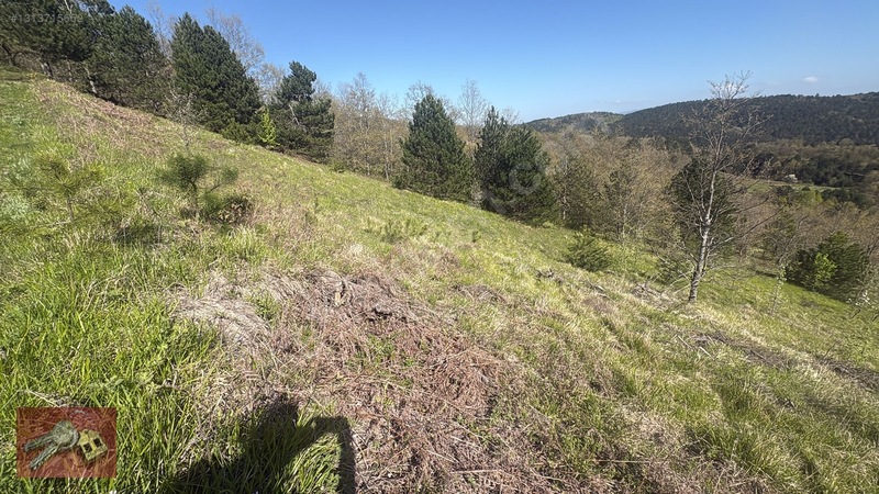 Karamürsel Kadriye'de Satılık %5 İmarlı Tarla - 14.050m² — fotoğraf 5