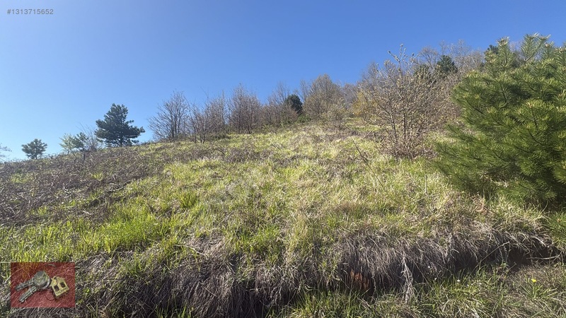 Karamürsel Kadriye'de Satılık %5 İmarlı Tarla - 14.050m² — fotoğraf 6