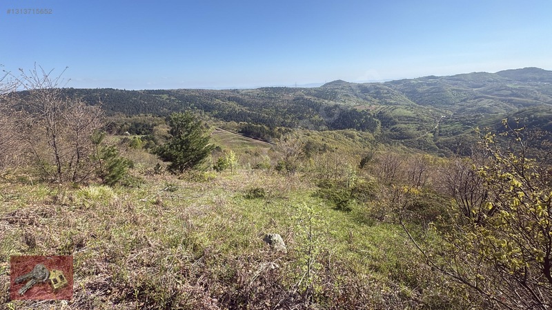 Karamürsel Kadriye'de Satılık %5 İmarlı Tarla - 14.050m² — fotoğraf 7