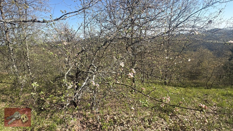 Karamürsel Kadriye'de Satılık %5 İmarlı Tarla - 14.050m² — fotoğraf 8