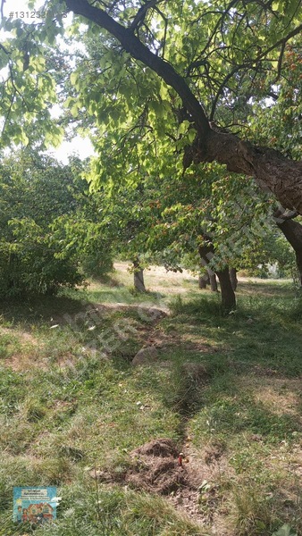 Van Yeşilsu (amik)te Eşsiz Yatırım Fırsatı! Yavuzer Gayri — fotoğraf 7