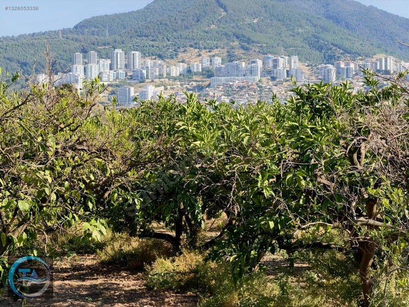 Kw A Takımından Sahilevlerinde 7.914 M2 Malikane Arsası — fotoğraf 17