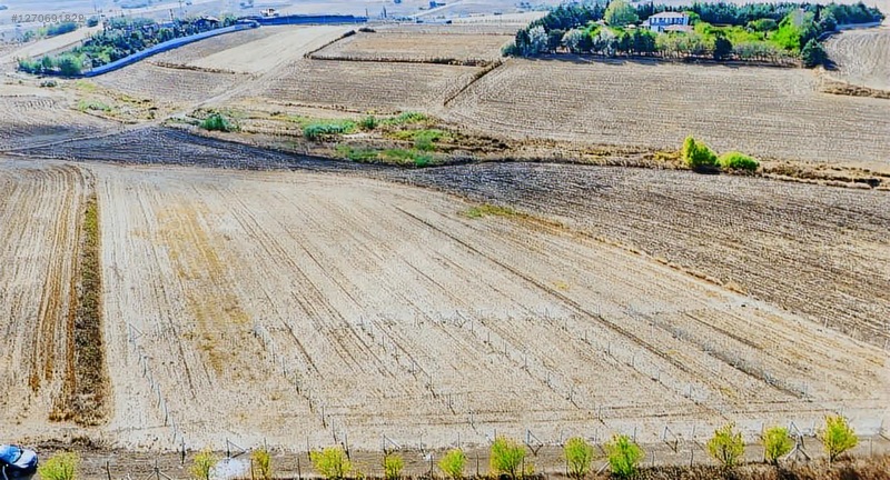 Silivri Fenerde Yanyana 5 Adet 346m2 Parsel — fotoğraf 4