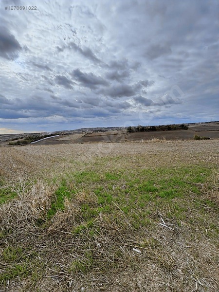 Silivri Fenerde Yanyana 5 Adet 346m2 Parsel — fotoğraf 25