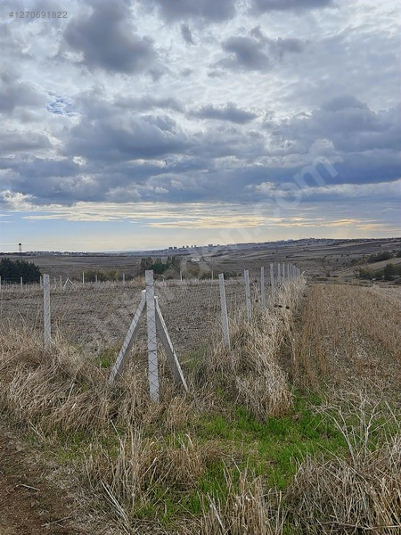 Silivri Fenerde Yanyana 5 Adet 346m2 Parsel — fotoğraf 27