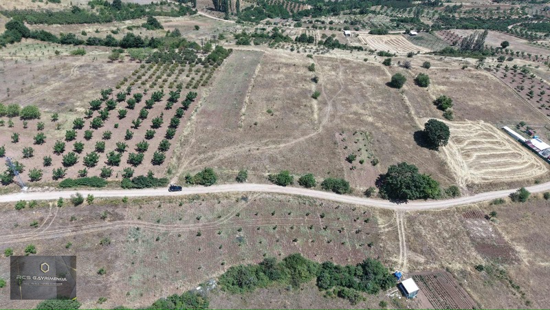 Yenişehir Yıldırım Köyünde Doğa Ve Gölet Manzaralı Bahçe — fotoğraf 4