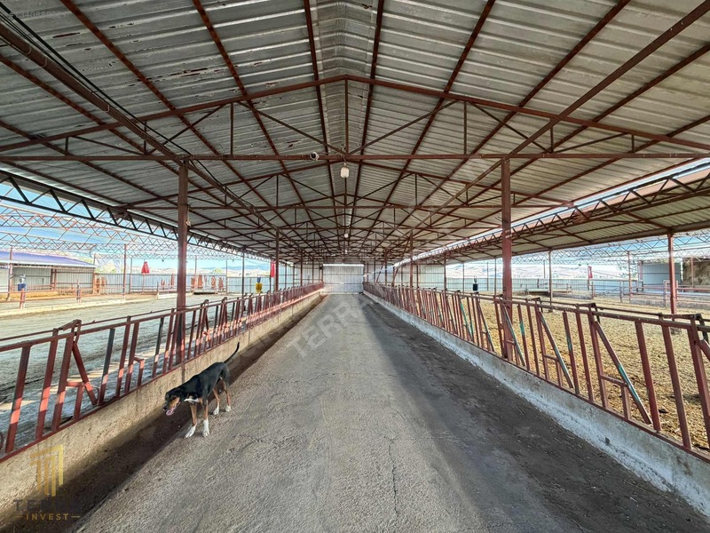 Satılık I Burdur Çallıca, Tam Teçhizatlı, Kurulu Düzen Çiftlik — fotoğraf 5