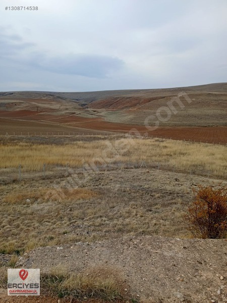 Boğazlıyan Yazıkışla'da Satılık (lavanta) Tarlası — fotoğraf 2