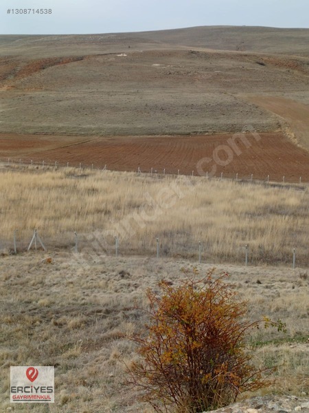 Boğazlıyan Yazıkışla'da Satılık (lavanta) Tarlası — fotoğraf 3