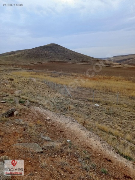Boğazlıyan Yazıkışla'da Satılık (lavanta) Tarlası — fotoğraf 4