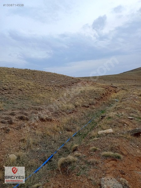 Boğazlıyan Yazıkışla'da Satılık (lavanta) Tarlası — fotoğraf 6