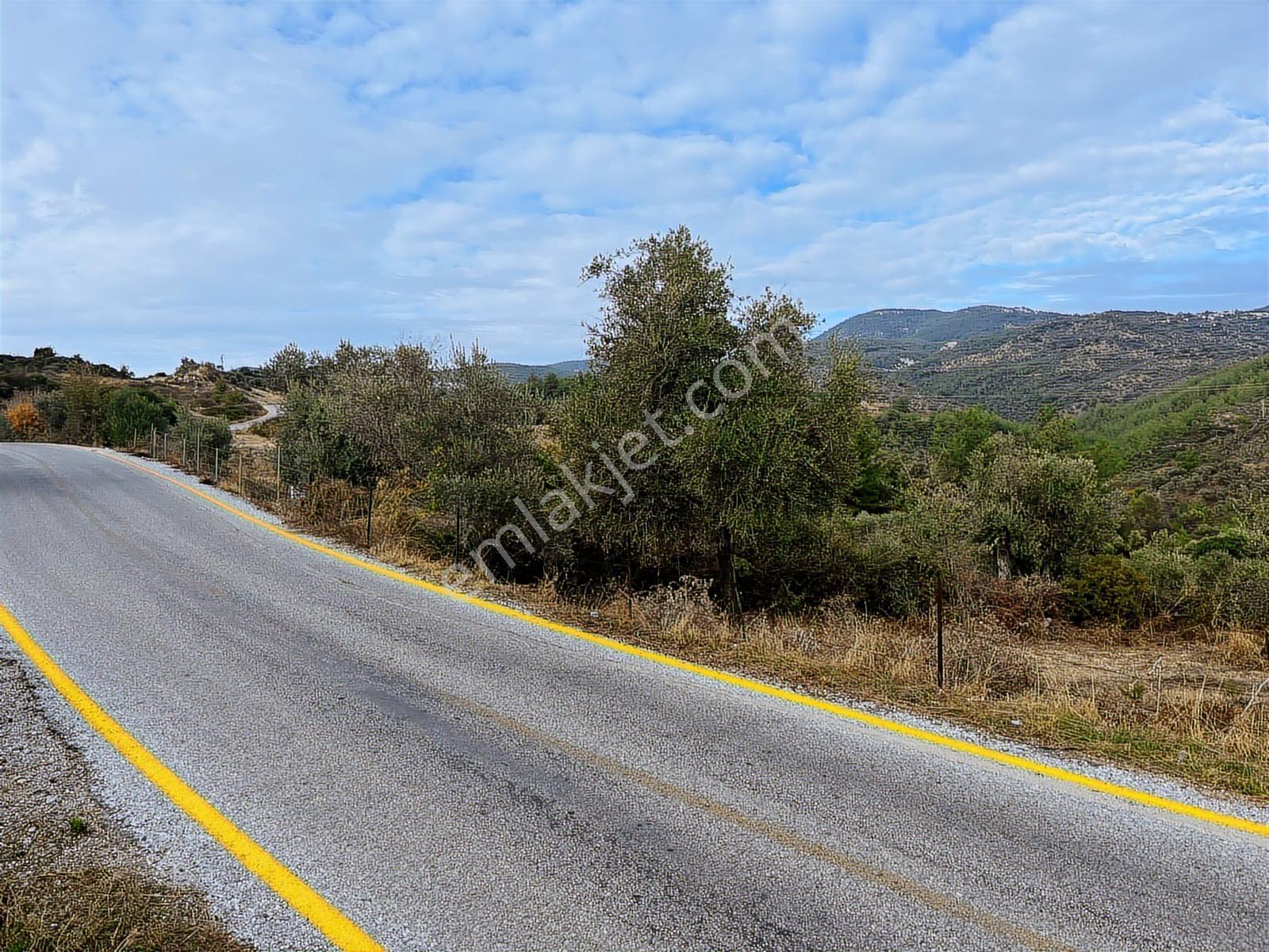 15 Dakikada Ören Sahili! Doğayla Baş Başa, 5.000 M2 Tarla — fotoğraf 4