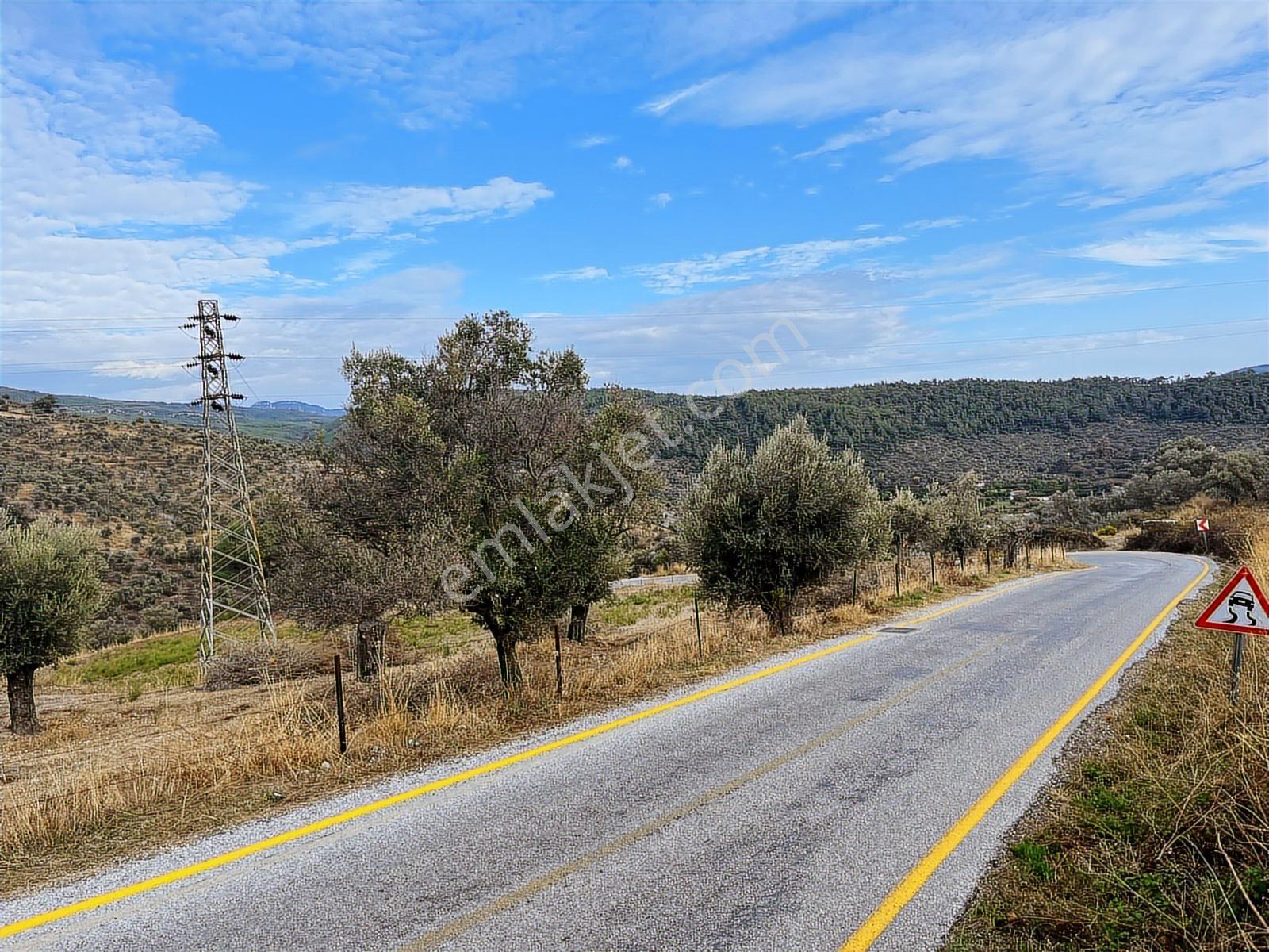 15 Dakikada Ören Sahili! Doğayla Baş Başa, 5.000 M2 Tarla — fotoğraf 6