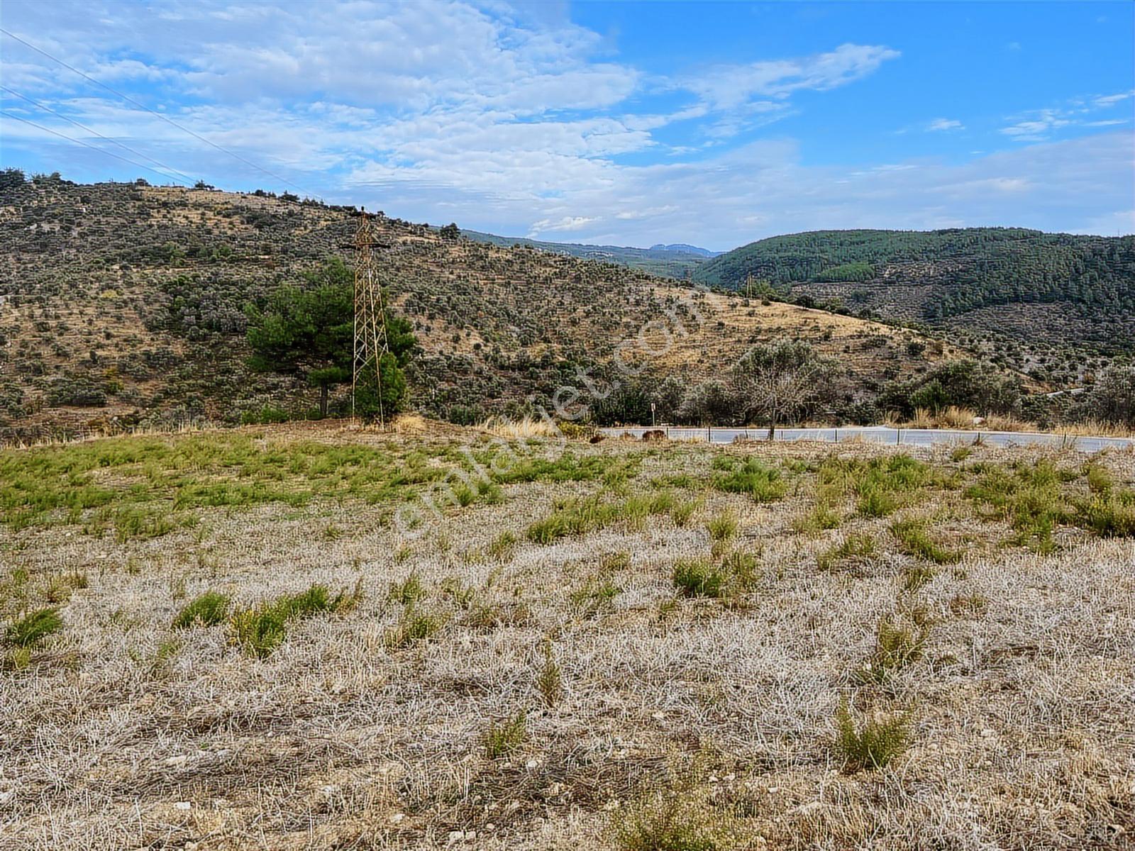 15 Dakikada Ören Sahili! Doğayla Baş Başa, 5.000 M2 Tarla — fotoğraf 7