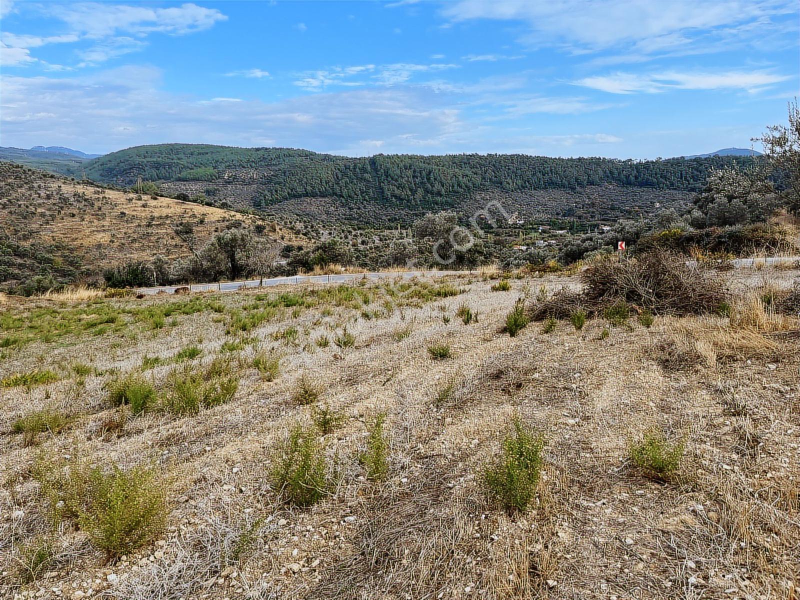 15 Dakikada Ören Sahili! Doğayla Baş Başa, 5.000 M2 Tarla — fotoğraf 9