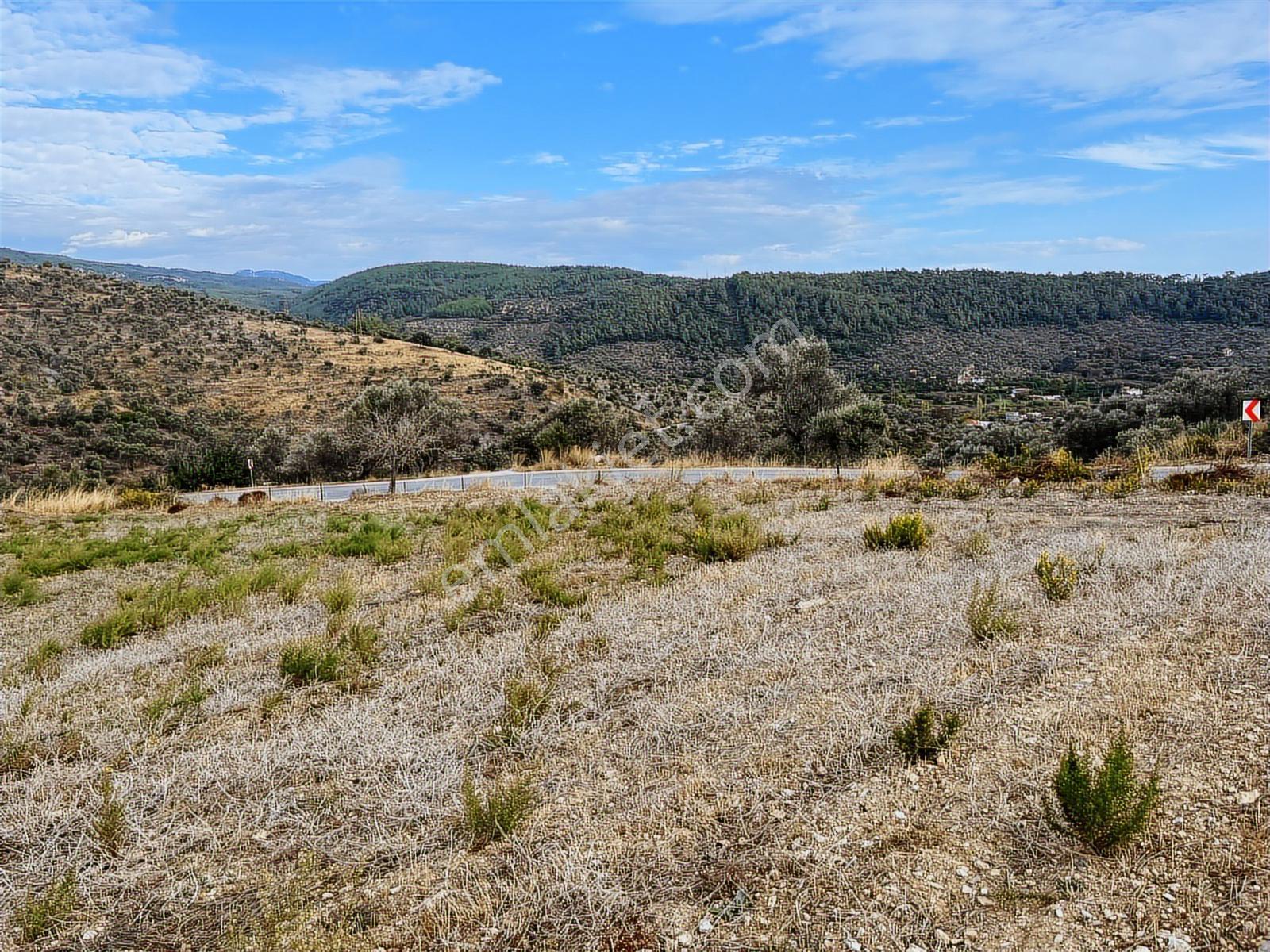 15 Dakikada Ören Sahili! Doğayla Baş Başa, 5.000 M2 Tarla — fotoğraf 10