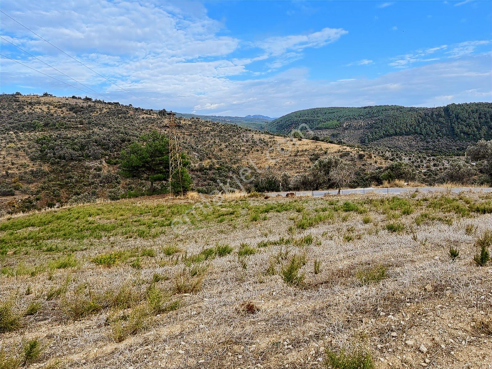 15 Dakikada Ören Sahili! Doğayla Baş Başa, 5.000 M2 Tarla — fotoğraf 11