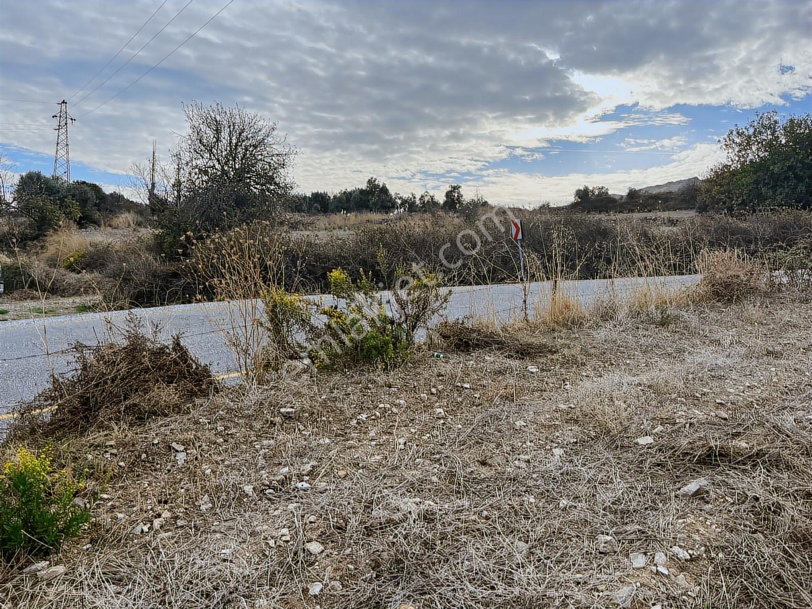 15 Dakikada Ören Sahili! Doğayla Baş Başa, 5.000 M2 Tarla — fotoğraf 14