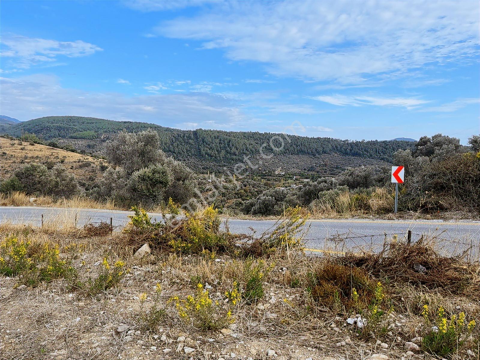 15 Dakikada Ören Sahili! Doğayla Baş Başa, 5.000 M2 Tarla — fotoğraf 15