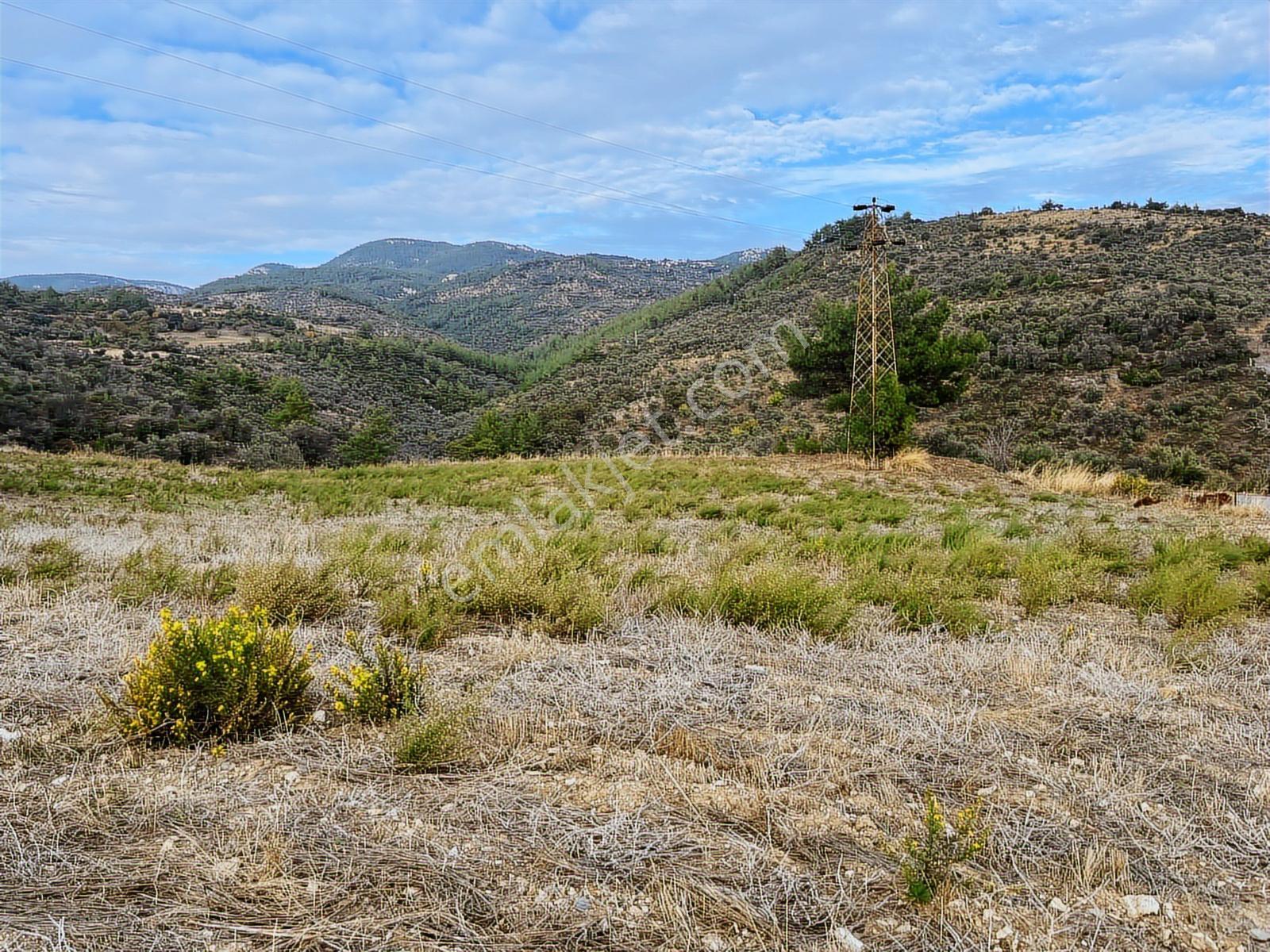 15 Dakikada Ören Sahili! Doğayla Baş Başa, 5.000 M2 Tarla — fotoğraf 17