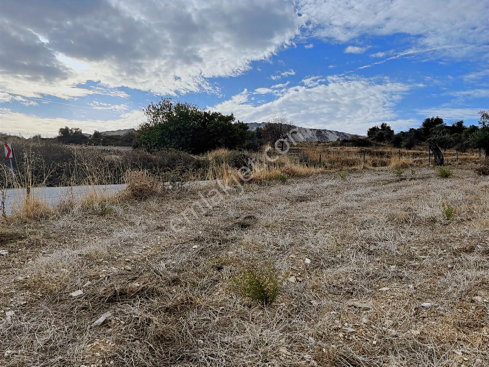 15 Dakikada Ören Sahili! Doğayla Baş Başa, 5.000 M2 Tarla — fotoğraf 19