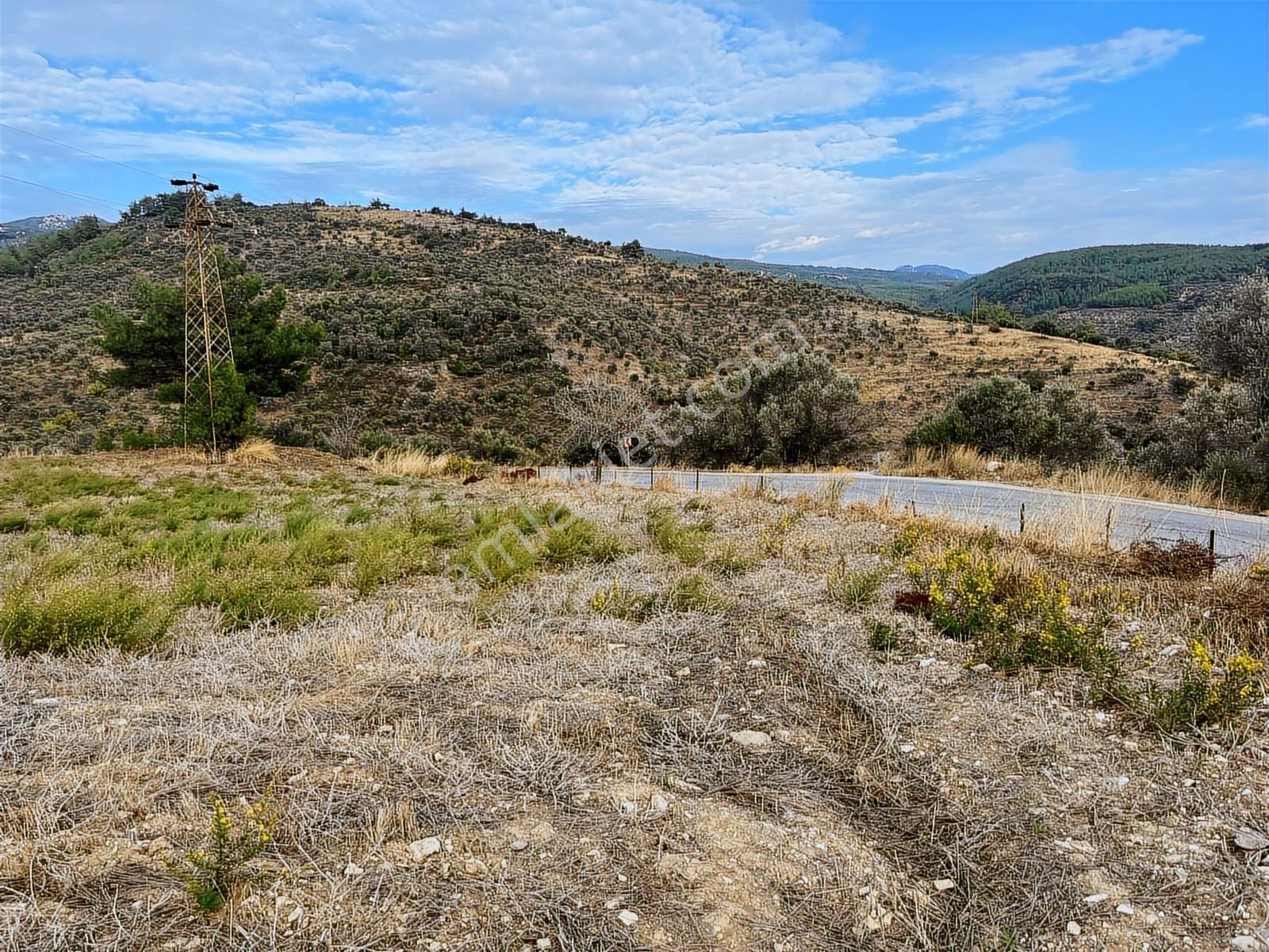 15 Dakikada Ören Sahili! Doğayla Baş Başa, 5.000 M2 Tarla — fotoğraf 20