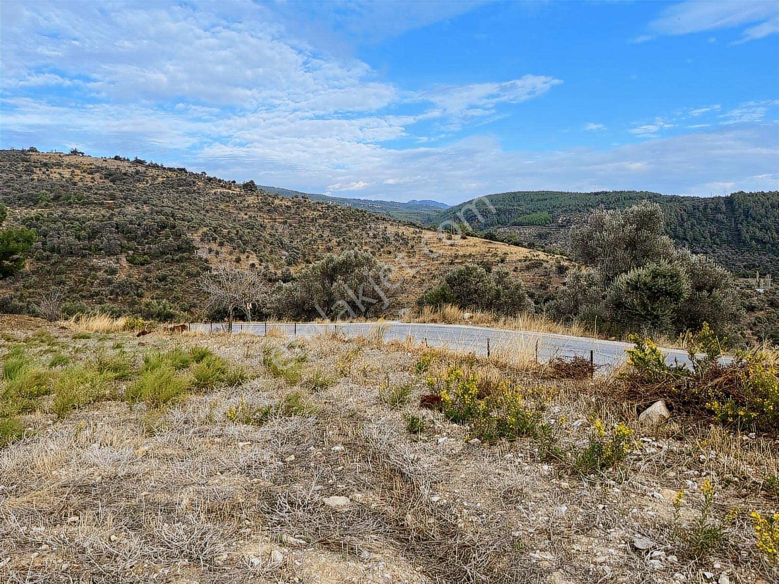 15 Dakikada Ören Sahili! Doğayla Baş Başa, 5.000 M2 Tarla — fotoğraf 22