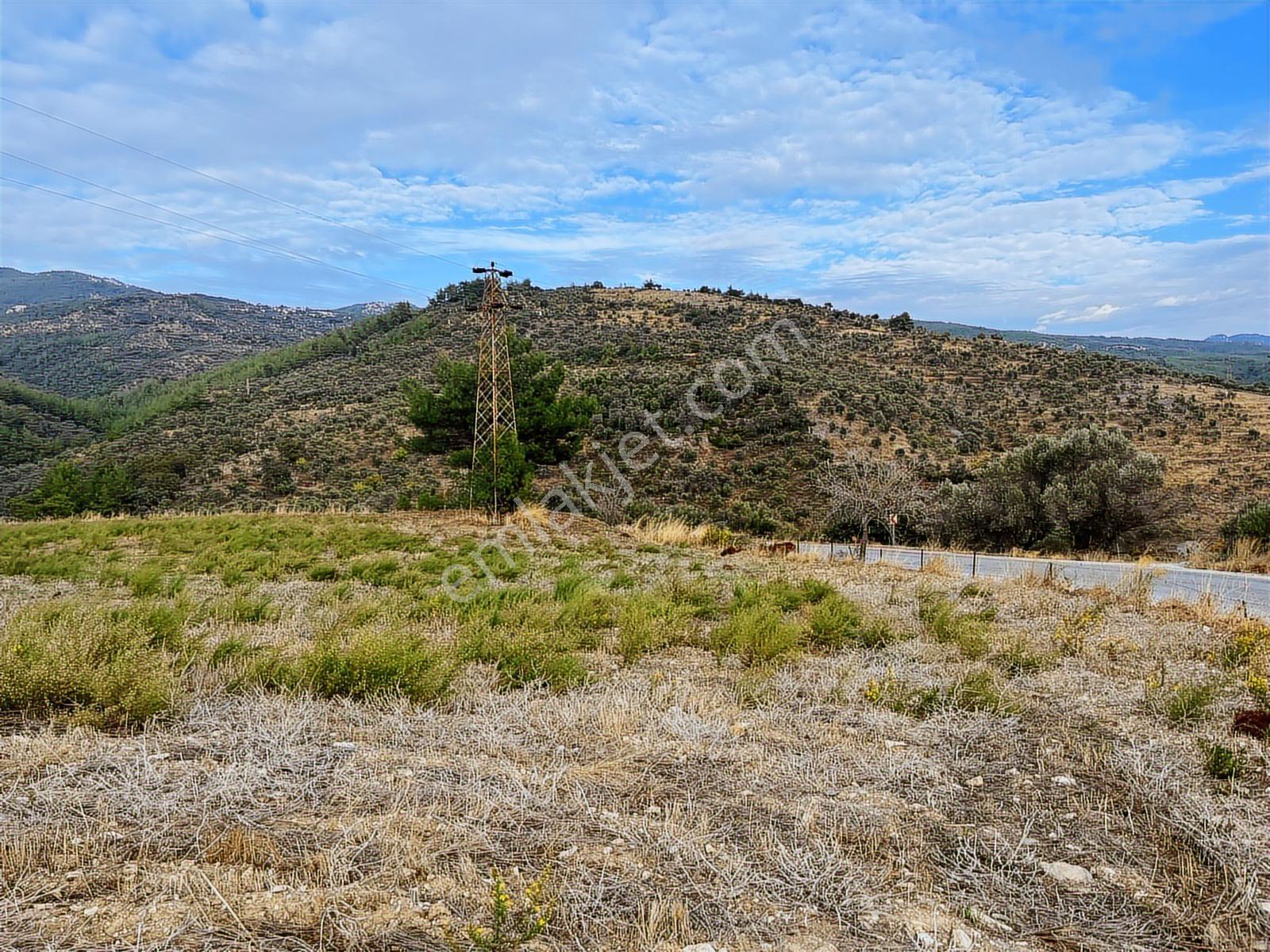 15 Dakikada Ören Sahili! Doğayla Baş Başa, 5.000 M2 Tarla — fotoğraf 23