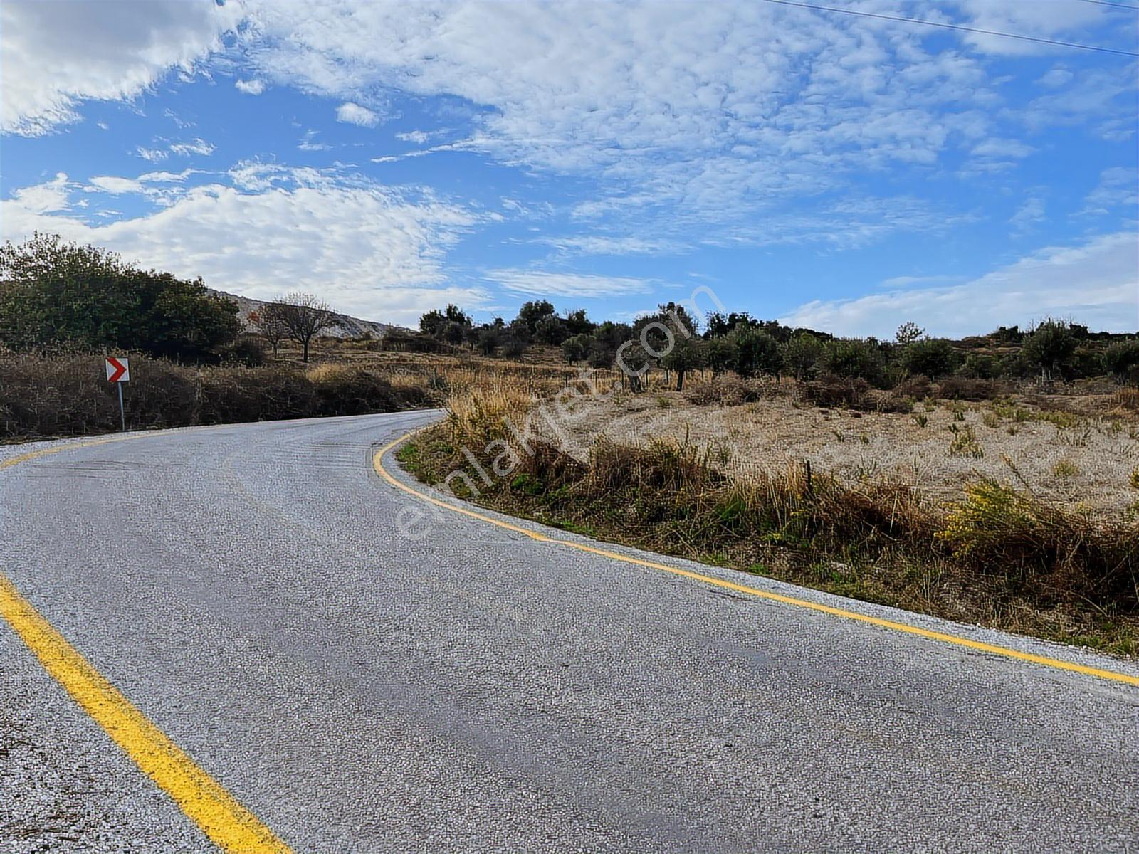 15 Dakikada Ören Sahili! Doğayla Baş Başa, 5.000 M2 Tarla — fotoğraf 25