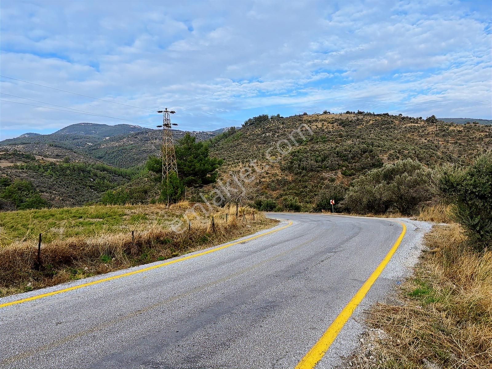 15 Dakikada Ören Sahili! Doğayla Baş Başa, 5.000 M2 Tarla — fotoğraf 28