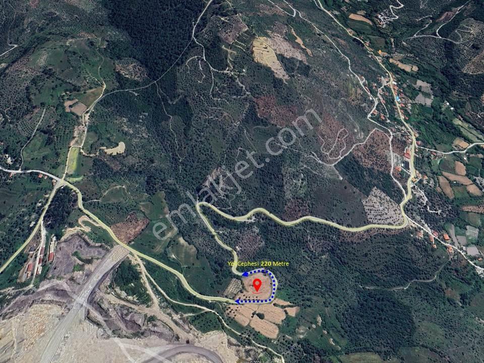 15 Dakikada Ören Sahili! Doğayla Baş Başa, 5.000 M2 Tarla — fotoğraf 33