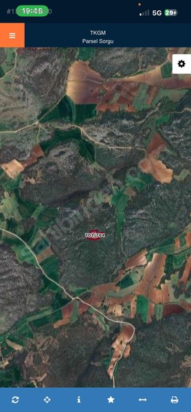 Tamamı Araç Takaslı 4.500 M2 Tarla — fotoğraf 2
