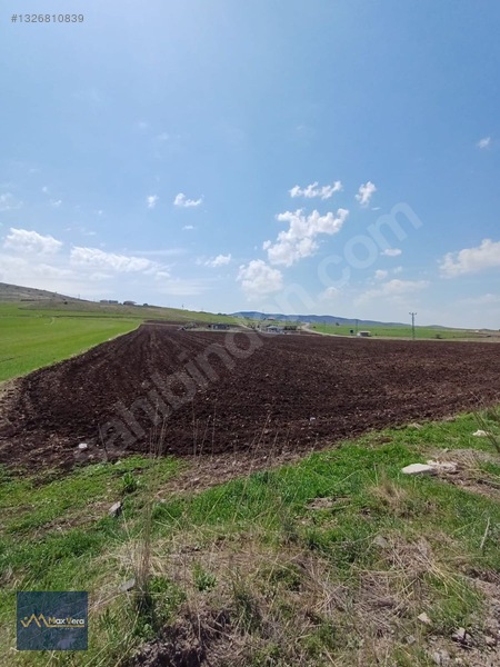 Beynam Tek Tapu Satılık Tarla — fotoğraf 3
