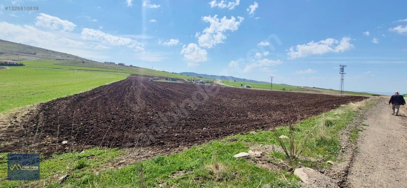 Beynam Tek Tapu Satılık Tarla — fotoğraf 6