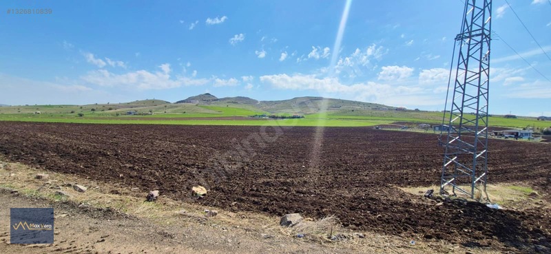 Beynam Tek Tapu Satılık Tarla — fotoğraf 7
