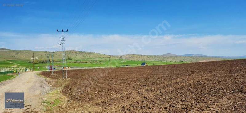 Beynam Tek Tapu Satılık Tarla — fotoğraf 8