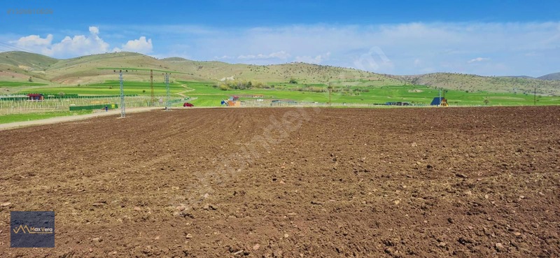 Beynam Tek Tapu Satılık Tarla — fotoğraf 9
