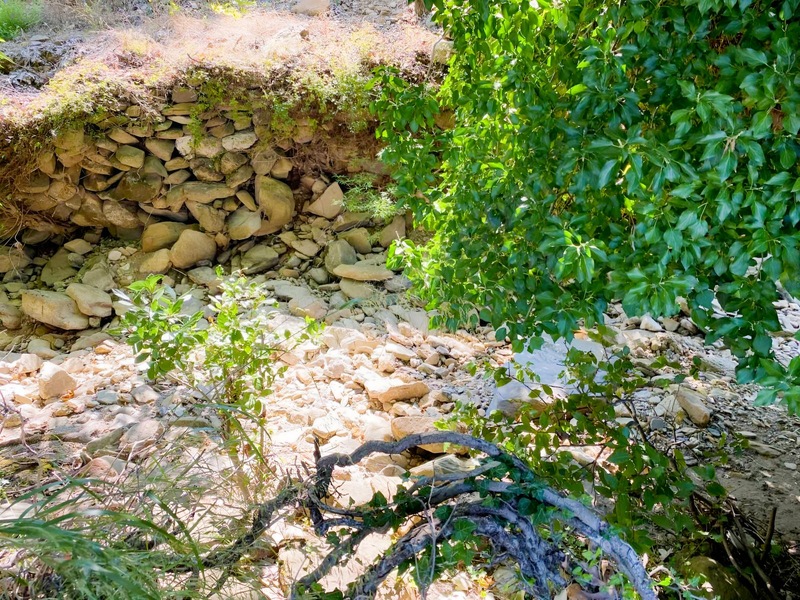 Milas Söğütcük Köyünde Satılık Tarla — fotoğraf 2
