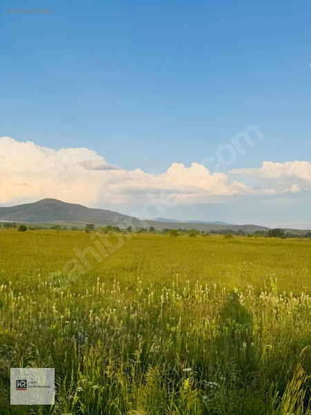 Kr First G'm Arıbahçe Mah. Satılık 2 Parsel Tarla! — fotoğraf 9