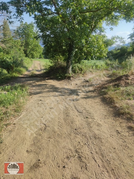 Bursa Orhangazi Gedelek'de 2.850 M² Satılık Yatırımlık Tarla — fotoğraf 3