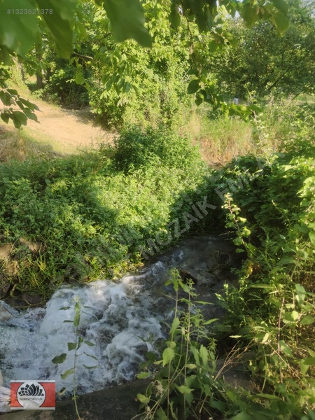 Bursa Orhangazi Gedelek'de 2.850 M² Satılık Yatırımlık Tarla — fotoğraf 4