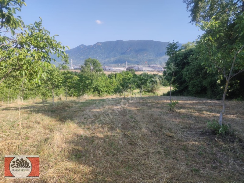 Bursa Orhangazi Gedelek'de 2.850 M² Satılık Yatırımlık Tarla — fotoğraf 5
