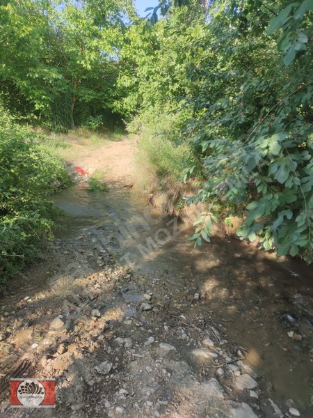 Bursa Orhangazi Gedelek'de 2.850 M² Satılık Yatırımlık Tarla — fotoğraf 6