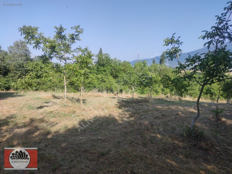 Bursa Orhangazi Gedelek'de 2.850 M² Satılık Yatırımlık Tarla — fotoğraf 7