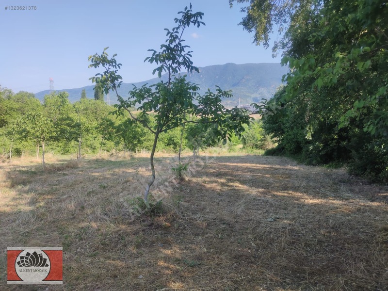Bursa Orhangazi Gedelek'de 2.850 M² Satılık Yatırımlık Tarla — fotoğraf 8